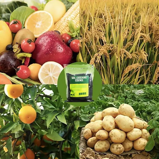 200 G Talaj Meglazító Esszencia Univerzális Aktivátor Javítja A Edzését És Szert Kerti Mezőgazdasági Termékek - Image 5