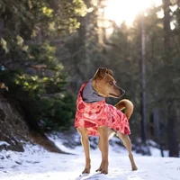 Waterproof Winter Dog Jacket