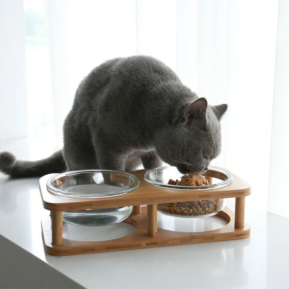 Double Cat Bowl, Non-Slip Pet Food Bowl, Dog Feeder, Elevated Stand,  Elevated Drinking, Eating Feeder, Cats Accessories, 7016 - AliExpress