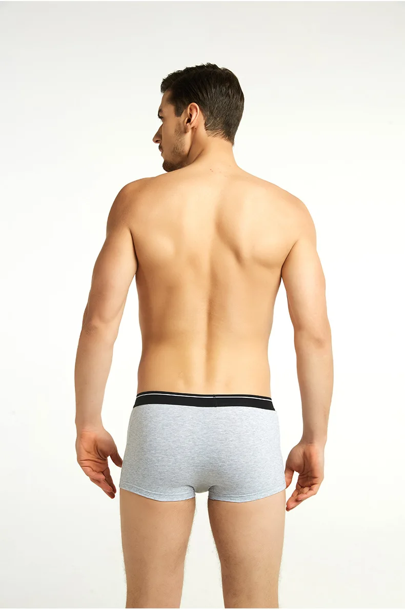 4 stücke männer Höschen Sexy Shorts Baumwolle Unterwäsche Männlichen Atmungsaktive Boxer Solide Boxershorts Marke Unterhosen – Detail 31