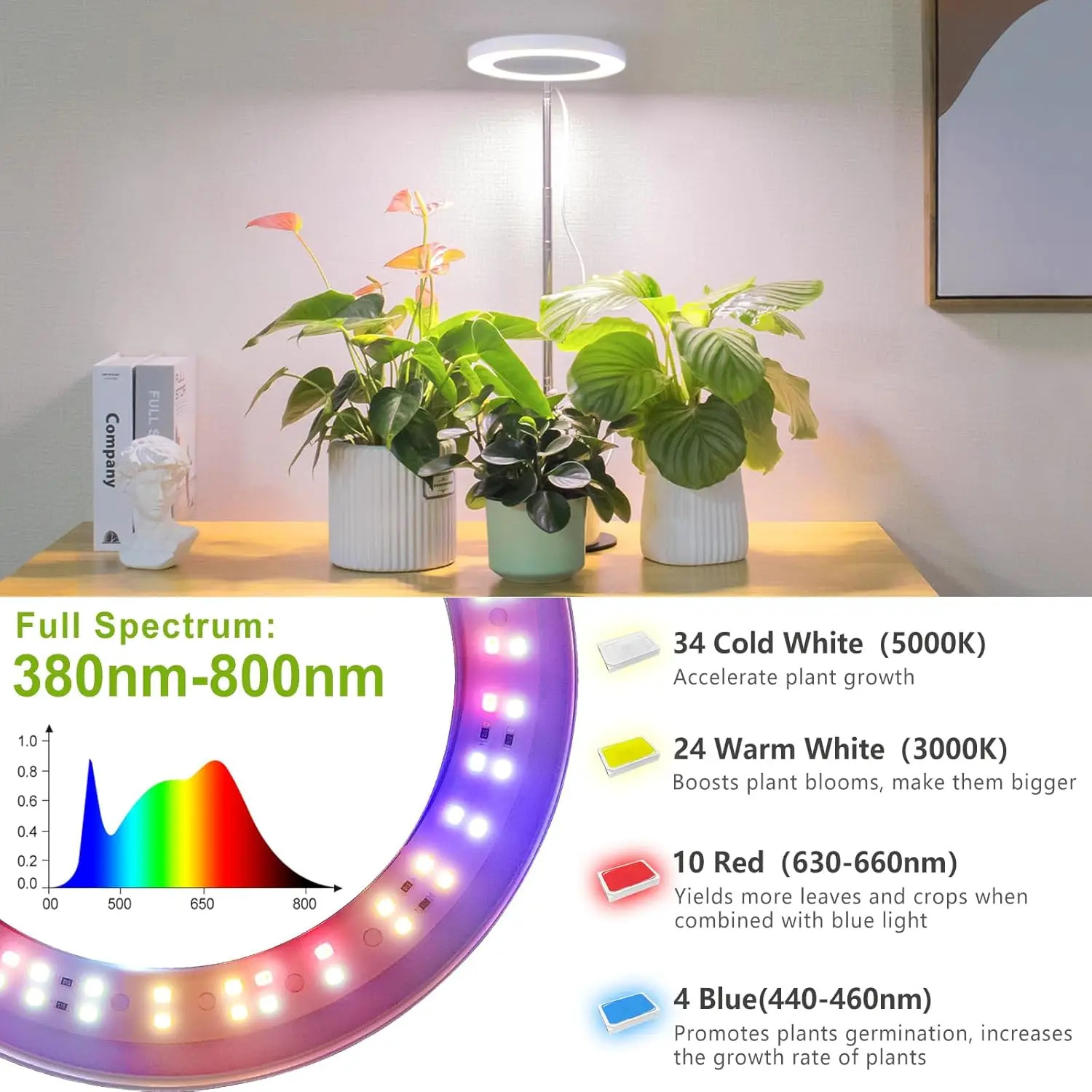 LED Grow Light, for Indoor Fill Light, Full Spectrum Desk Automatic Timer, 4 H/8 H/12 H, 4 Adjustable Levels, Height Adjustable