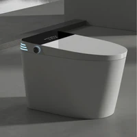 Tankless Smart Toilet With Bidet Built In, One-piece Bidet Toilet Seat, Auto Flush, Auto Open/Close,Heated Seat, Warm Water 1
