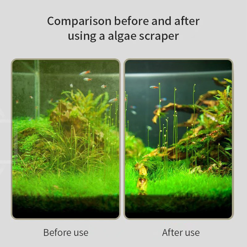 Long Handle Fish Tank Cleaning Brush Algae Removal Aquarium Tool fish tank cleaning brush