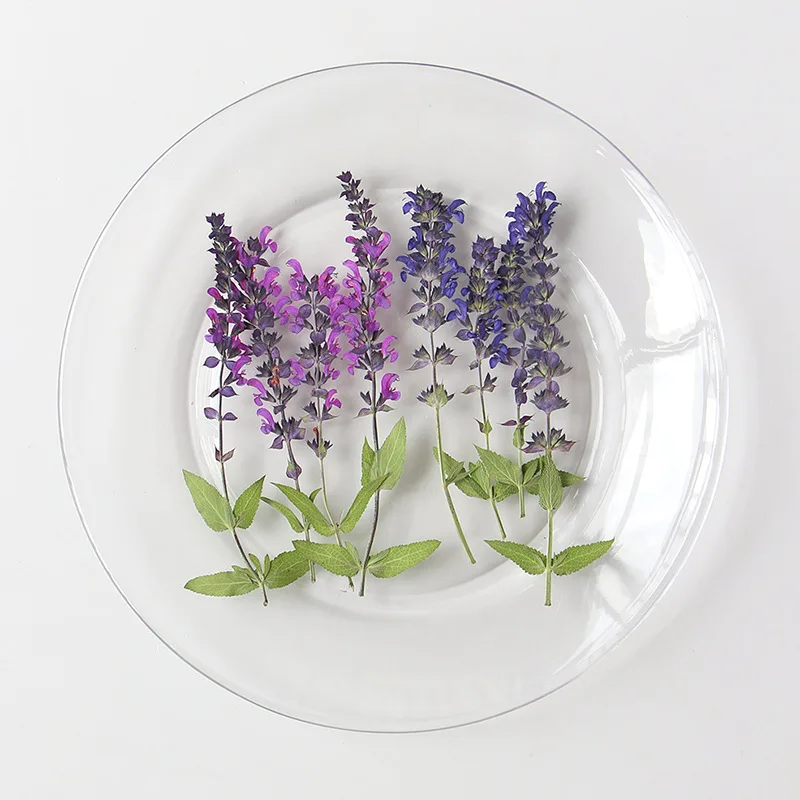 

120pcs Pressed Dried Lavender Leaf Flower Herbarium For Resin Epoxy Jewelry Card Bookmark Frame Phone Case Makeup Lamp DIY