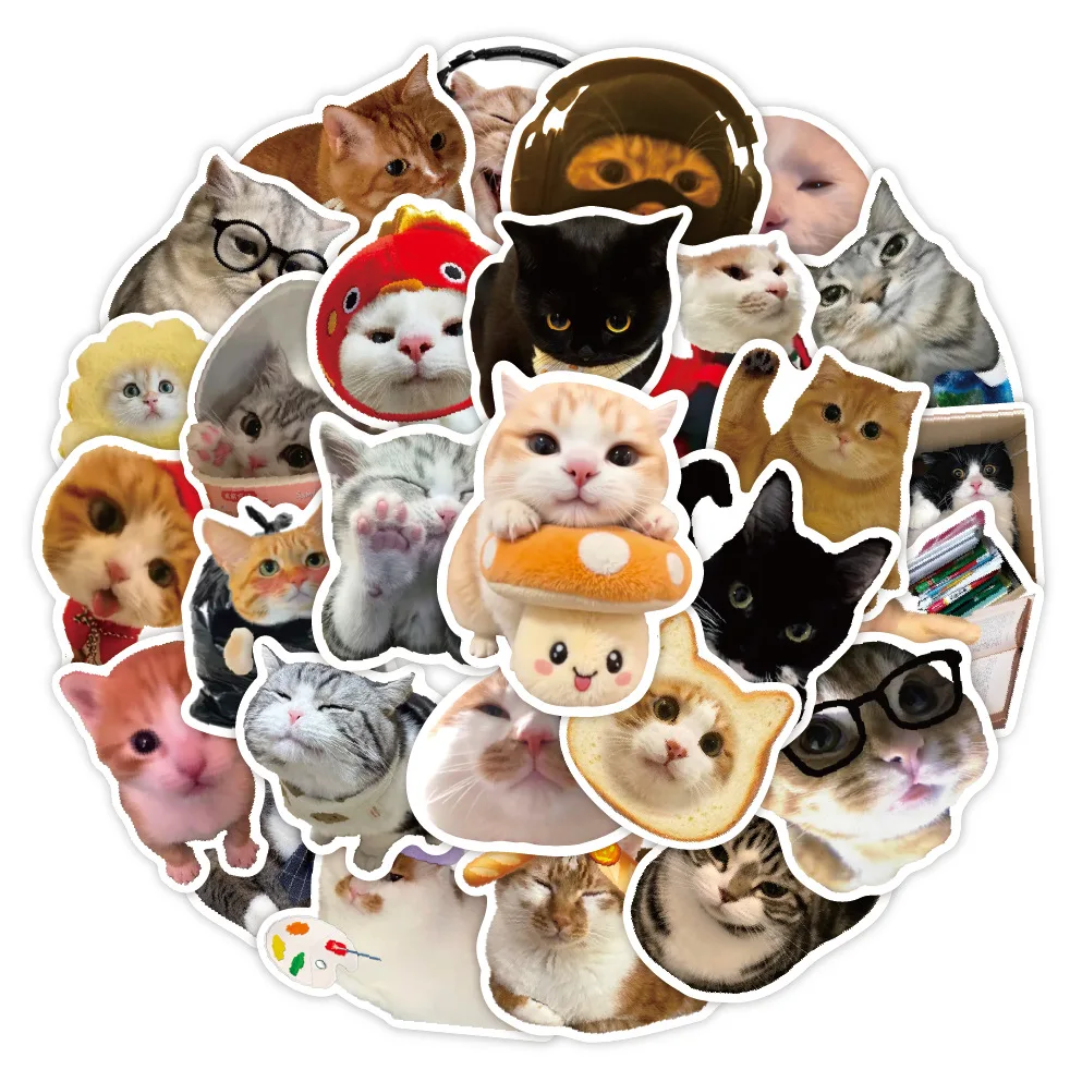 50개의 화난 고양이 스티커, 재미있는 고양이 표정 스티커, 어린이용 스티커, 문구용 스티커