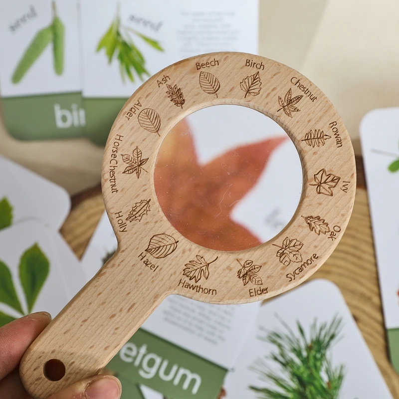 Holz Montessori Lupe Baby Natur Abenteuer Spielzeug Set Baum Blätter Lernen Kognitive Pädagogisches Spielzeug Jungen Mädchen Geschenk – Detail 3