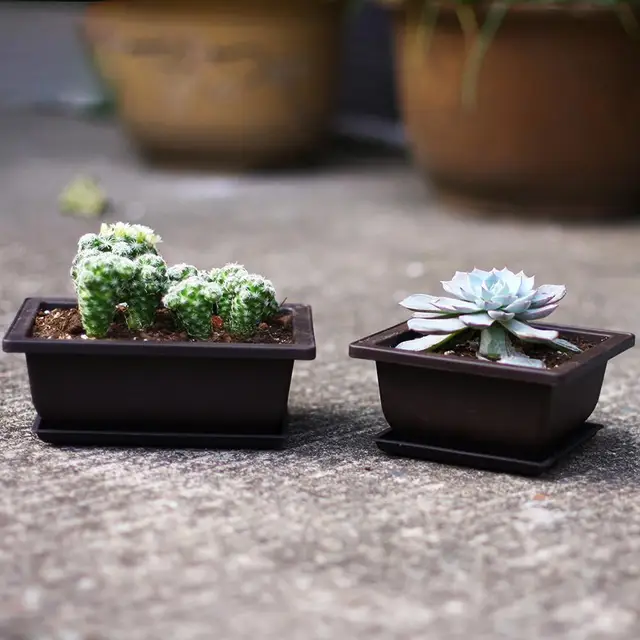 Zamatos Virág Edény Négyzet Alakú Téglalap Műanyag Bonsai Virágpot Kerti Szerszám - Image 3