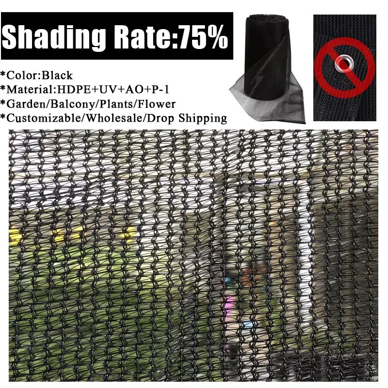 75 No Edge