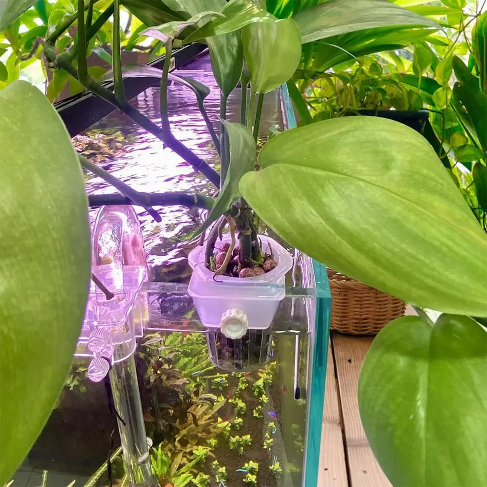 Description Picture 3 of item2pcs Fish Tank Planting Cup Hydroponic Support Basket Water Grass Aquatic Plant Holder Flower Pot Hanging Aquarium Accessories