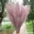 1Pcs Artificial Pampas Grass Home Room Decor Simulation Reed Flower Bouquet DIY Wedding Decoration Birthday Party Supplies 16