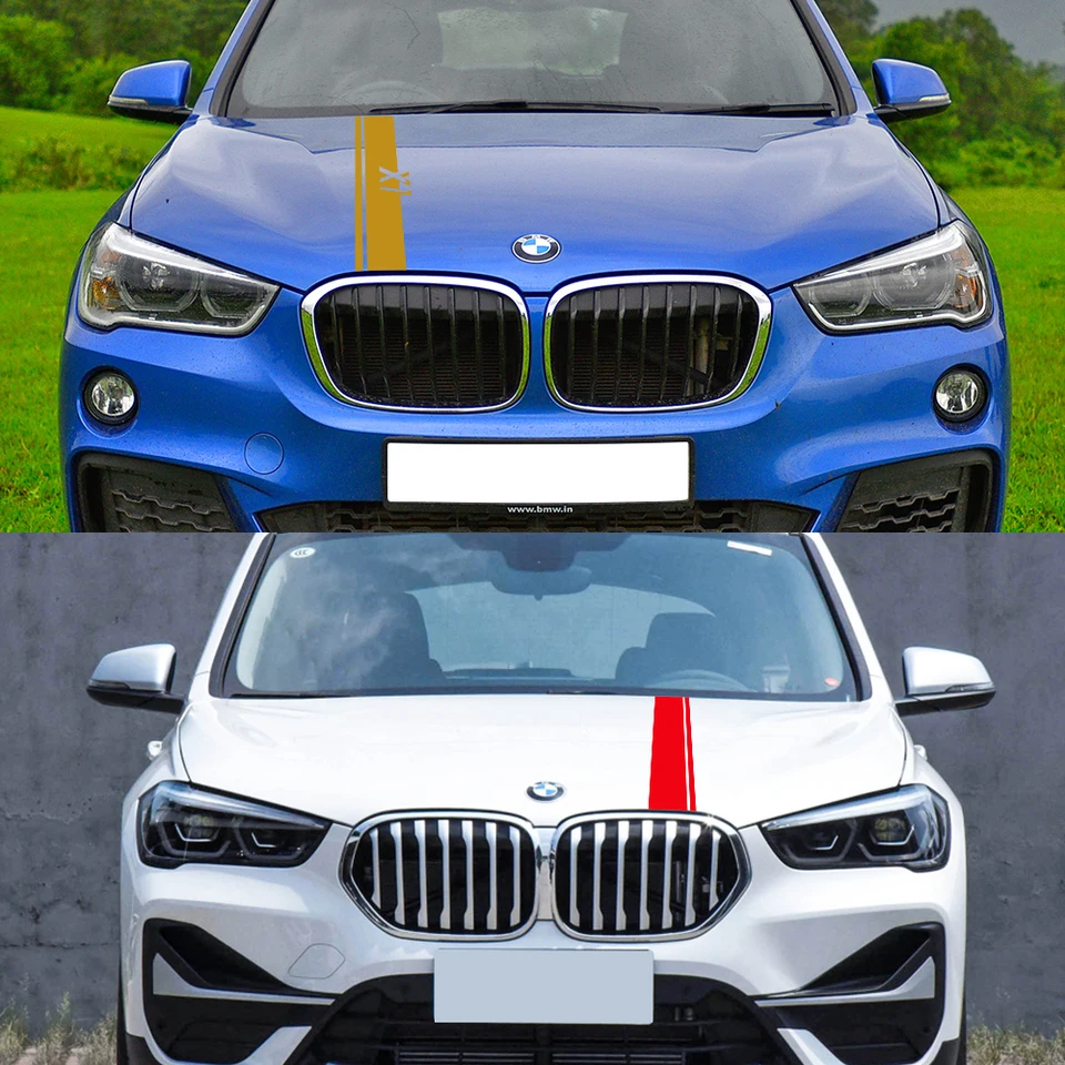 51357349498 TÜRGLAS HINTEN RECHTS / 17494718 FÜR BMW X1 F48 XDRIVE 20 D