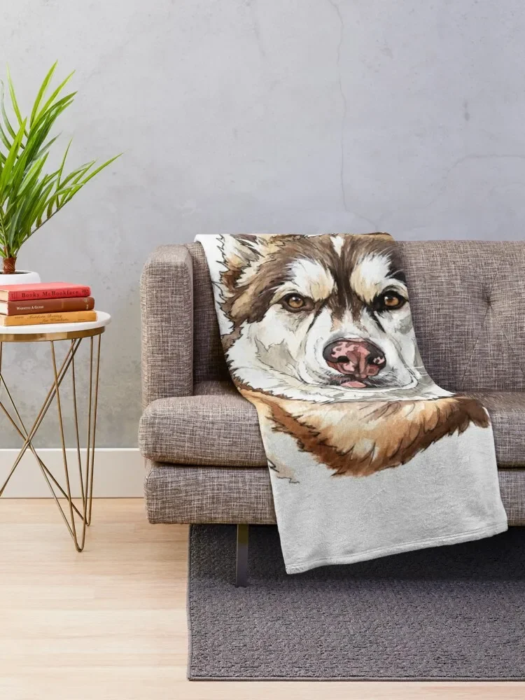 0445(8) ������ ���, ���� ���� ���� �ε巯�� ���� ���