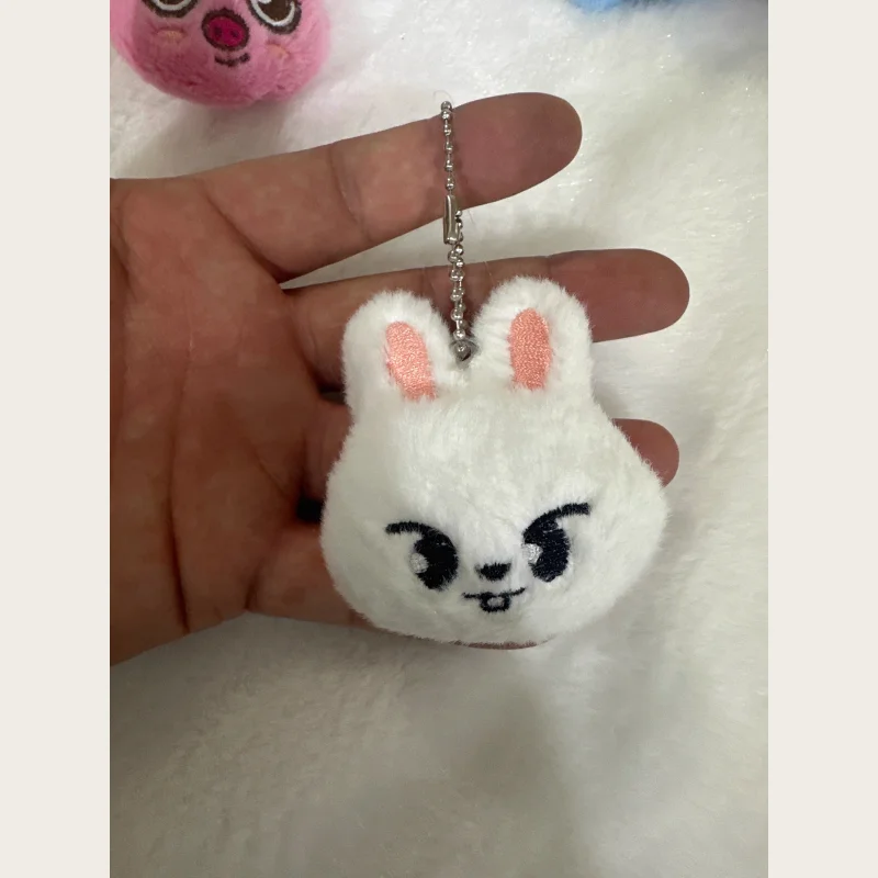 Sfda1330f8f2d42af82d65b8846a2c3faZ - Stray Kids AU Store