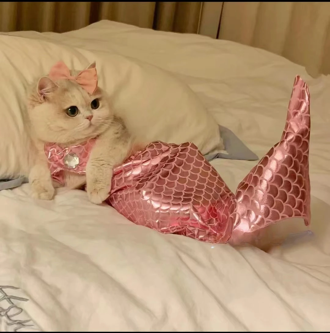Cat Mermaid Crossdressing Funny Swimsuit Fish Tail Shape Cute