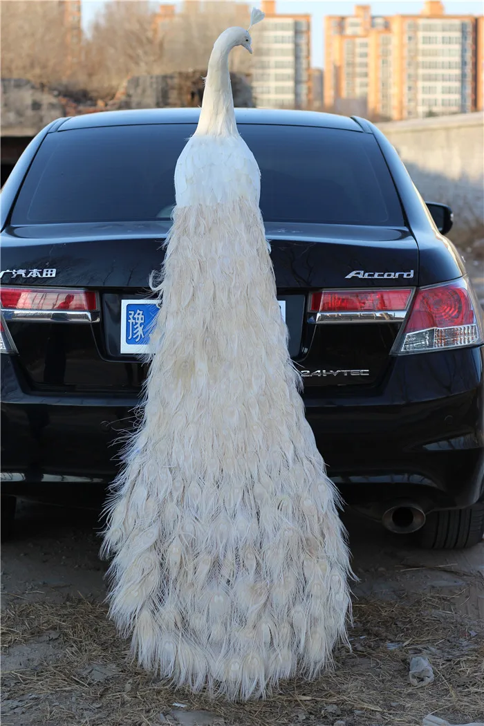 Рисунок 2 - Огромная имитация модели павлина с длинным хвостом