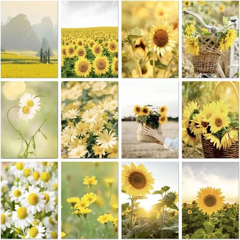 

CHENISTORY 40x50cm Beautiful Sunflower Picture By Numbers Original Gifts Decorative Paintings Flowers Number Paiting Art Supplie