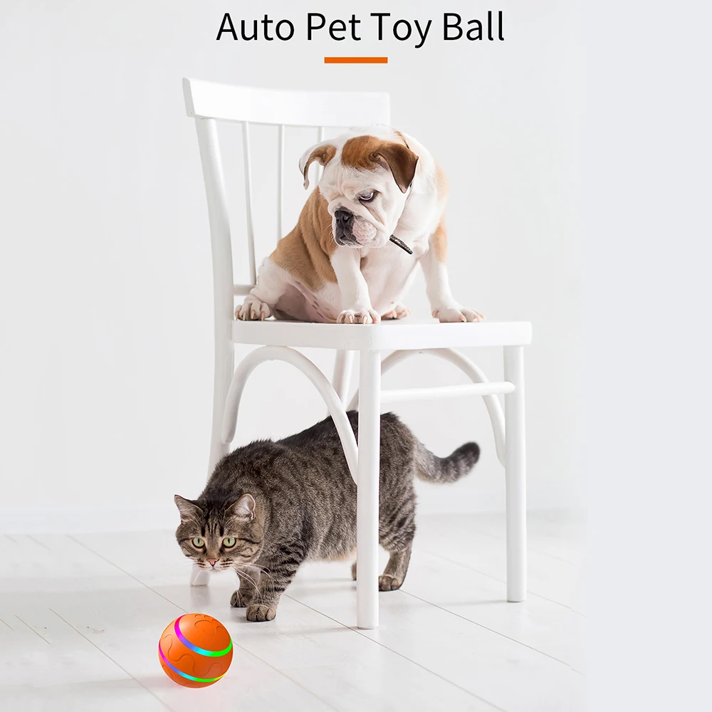 https://ae01.alicdn.com/kf/Sfda629ad1c854cc6aba5c081eb9cc52dD/Smart-Interactive-Dog-Toy-Ball-USB-Rechargeable-Funny-Automatic-Rolling-Ball-With-LED-Flashing-for-Dog.jpg