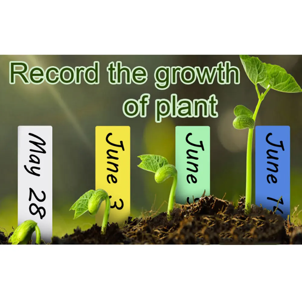 Slide image 809b23410d1b4eedb6b466b7fedebc8a