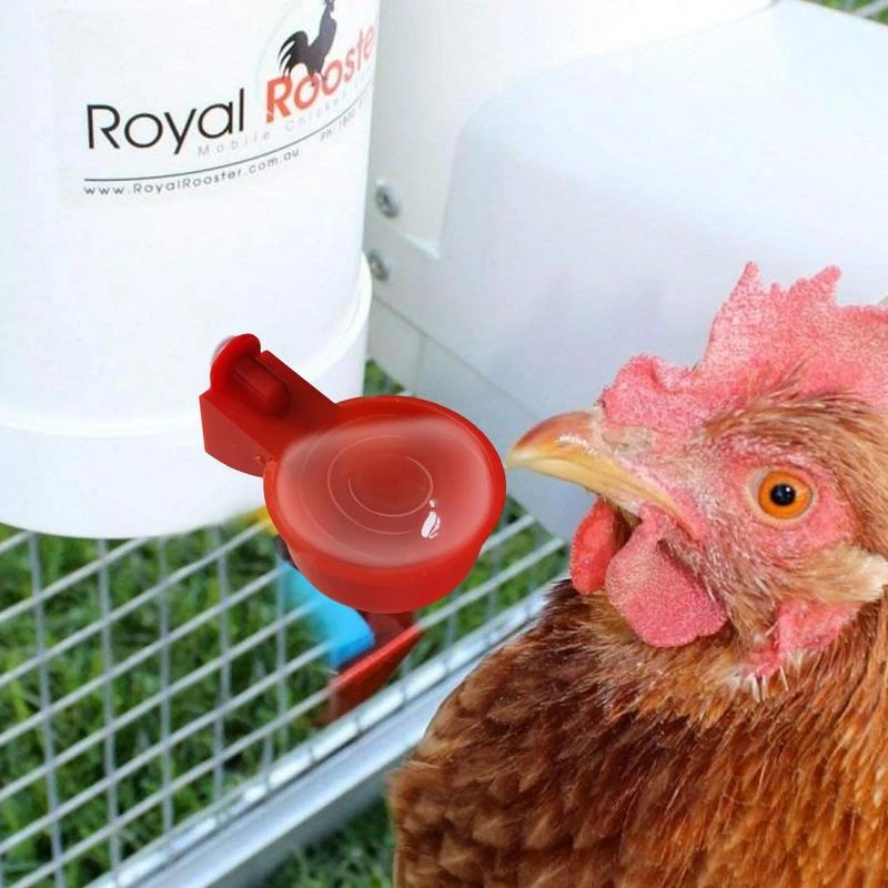 Chicken Drinker Automatic Chicken Water Cup Farm Poultry Waterer