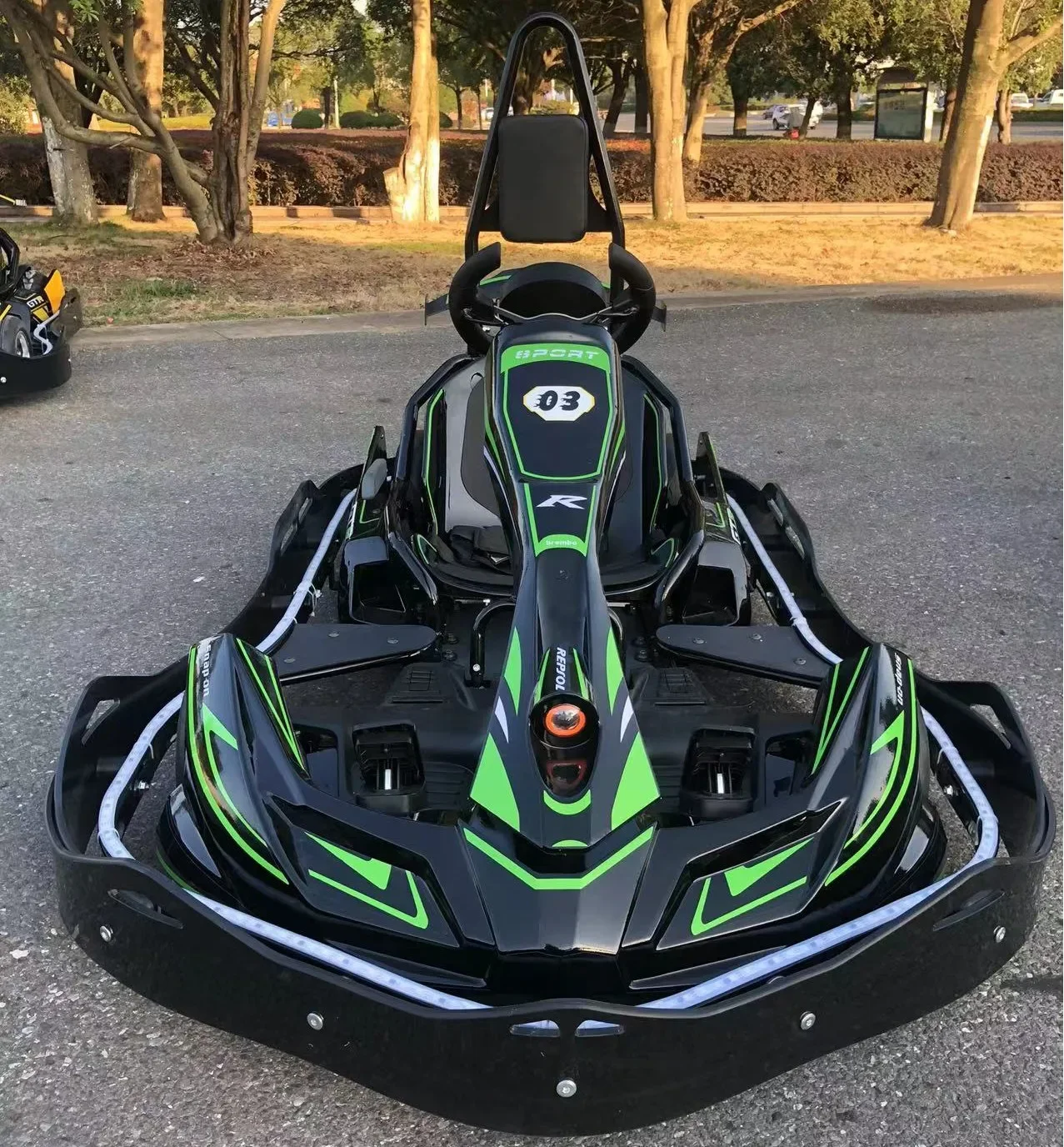 Indoor Outdoor High Speed Go Kart Race 270cc Original Engine Petrol Go-Kart Amusement Racing Go Kart Hot Sale 2