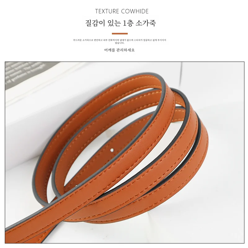 LOEWE 타비 새들 백을 위한 스타일리시하고 다목적 가변형 벨트