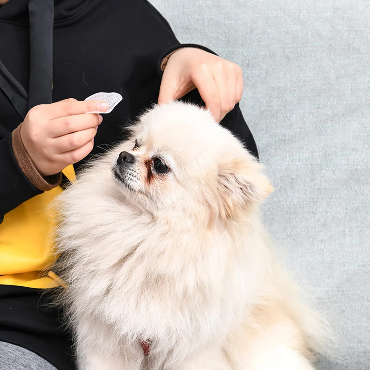 Pet Remove Dirt from Eyes and Ears Wipes Dog and Cat Earwax Clean Ears Odor Remover Wet Tissue Cleaning Tools Supplies pet cleaning wipes