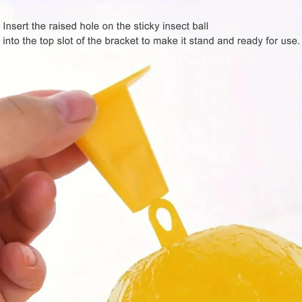 Outdoor Reusable Fruit Fly and Mosquito Trap Catcher