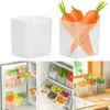 Refrigerator Food Storage Box Fruit Vegetable Fresh-Keeping Box Refrigerator Side Door Container Drawers Rack Kitchen Supplies 1