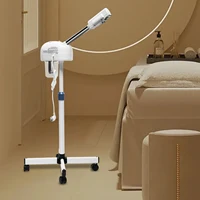 800W professionnel Ozone visage vapeur Spa Salon visage Sauna soins de la peau Machine à vapeur belle Machine de pulvérisation à froid 4