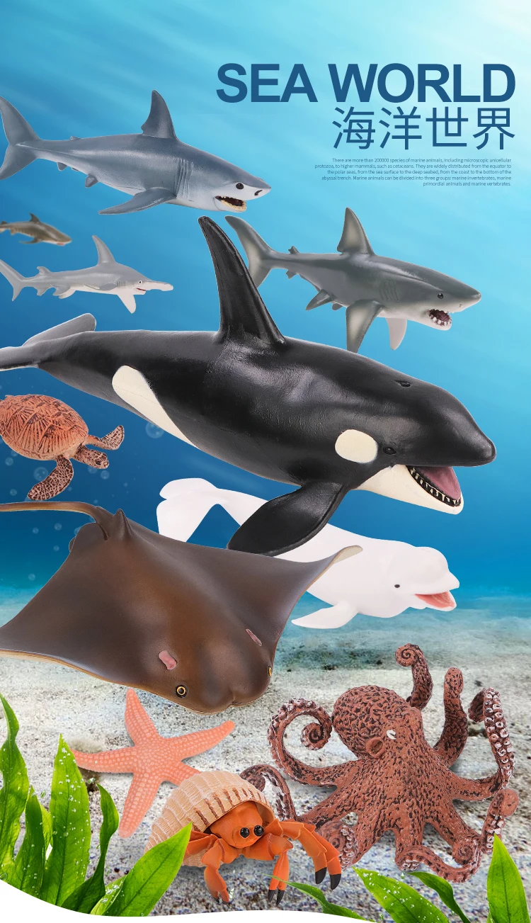 Ocean Life (海の生きもの)　彫刻アクセサリー5-①③ Ocean Life (海の生きもの) 彫刻アクセサリー5-①③ 【公式通販】