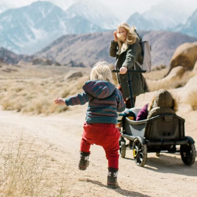 All-Terrain Premium Off-Road Wagon Stroller for Babies, Children 3
