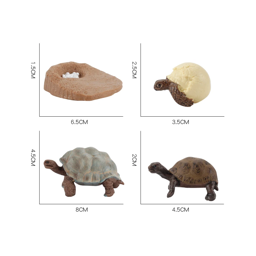 Turtle and Tortoise Action Figure Playset - Sea and Marine Animal Toy Collection