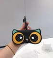 Orange raccoon
