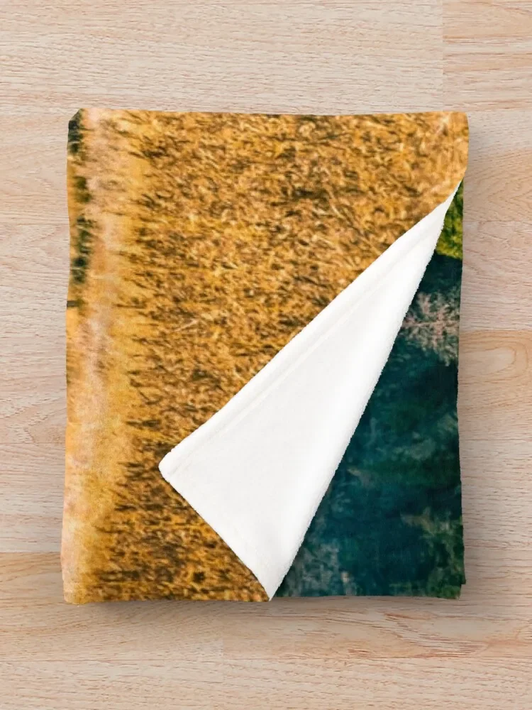 ������ �ڵ��� ���� ������ ���, ���Ÿ� �β��� ���, ���� ���