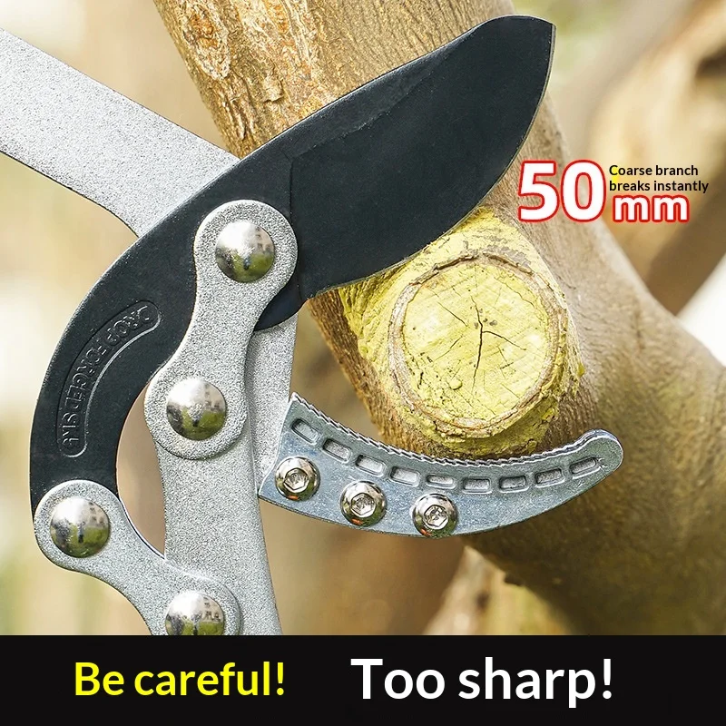 5cm 절단 용량의 샤크 조우형 정원 전정기, 확장형 알루미늄 손잡이가 있는 전문 나무 가지 절단 도구