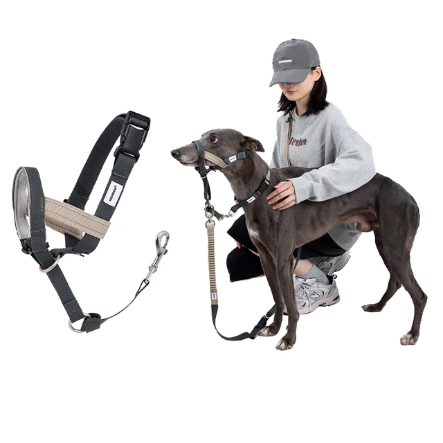 Soft Dog Head Collar Patented Padded No Pull Head Halter Training Nose Leash with Safety Link for Medium Large Dogs Adjustable Soft Dog Head Collar Patented Padded No Pull Head Halter Training Nose Leash with Safety Link for Medium Large Dogs Adjustable