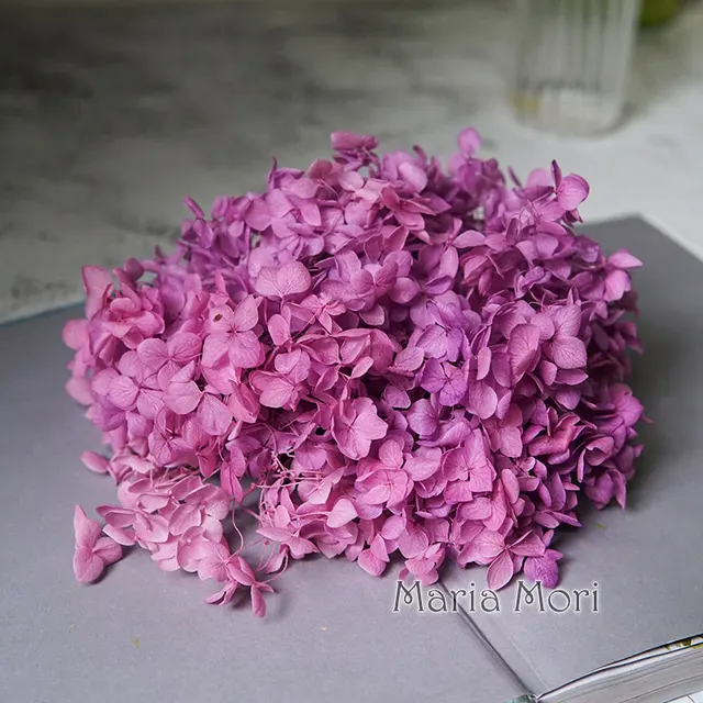 Anna Hydrangea  Flowers  Little  Leaves Preserved Hydrangea Decor  Office Decor  DIY Flowers Gradient colour 88