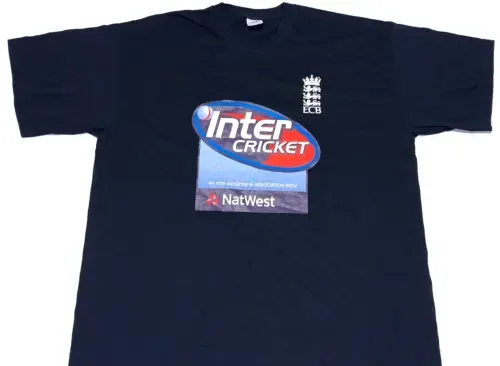 Rare Vintage 2000S England Galles Ecb Inter Cricket Board T Shirt New Large Long O Short Sleeves