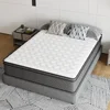 Queen Mattress, 10 Inch Innerspring Hybrid Mattress in A Box, Individually Pocket Coils for Motion Isolation & Cool Sleep 1
