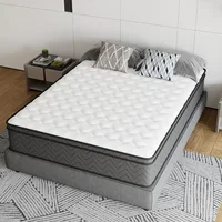 Queen Mattress, 10 Inch Innerspring Hybrid Mattress in A Box, Individually Pocket Coils for Motion Isolation & Cool Sleep 1