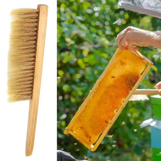 Hasznos Méhészeti Kefe Többcélú Összegyűjtött Méz Hordozható Fa Markolat Méhkefe Méhész Szerszám - Image 2