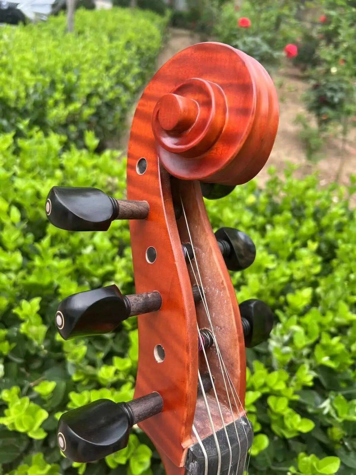 Рисунок 6 - Стандартная коричневая Виолончель-арпегион