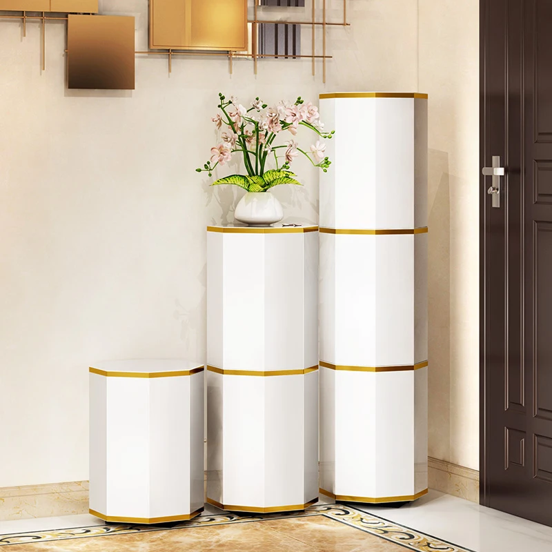 

Nordic White Simple Shoe Cabinets With Door Entrance Modern Metal Shoe Cabinets Luxury Dorm Storage Scarpiera Home Furniture