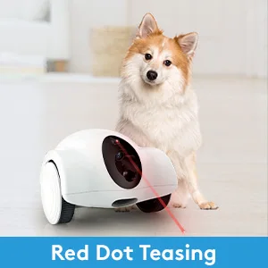 New Pet Toys Webcam Robot Full Hd 1080p Smart Pet Toys Robot With Dog Cat Camera Treat Cat Toy smart Companion