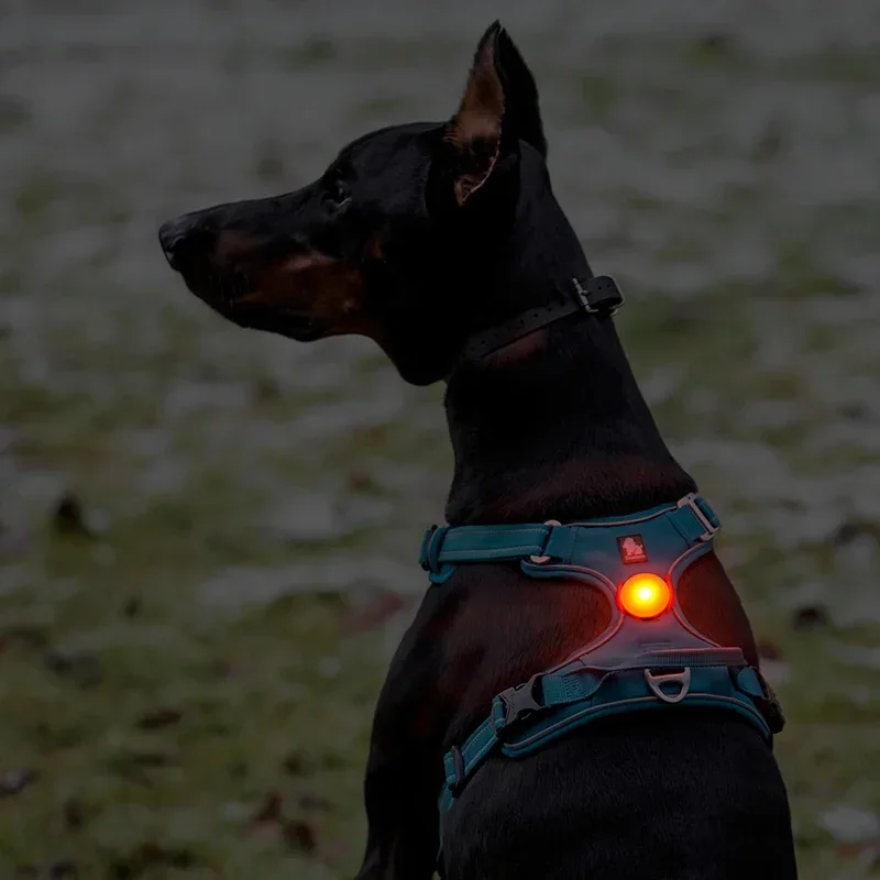 Pet Accessories Truelove Pet Outdoor Waterproof Safety LEDLIGHT Flash Light Dog Products TLD19103