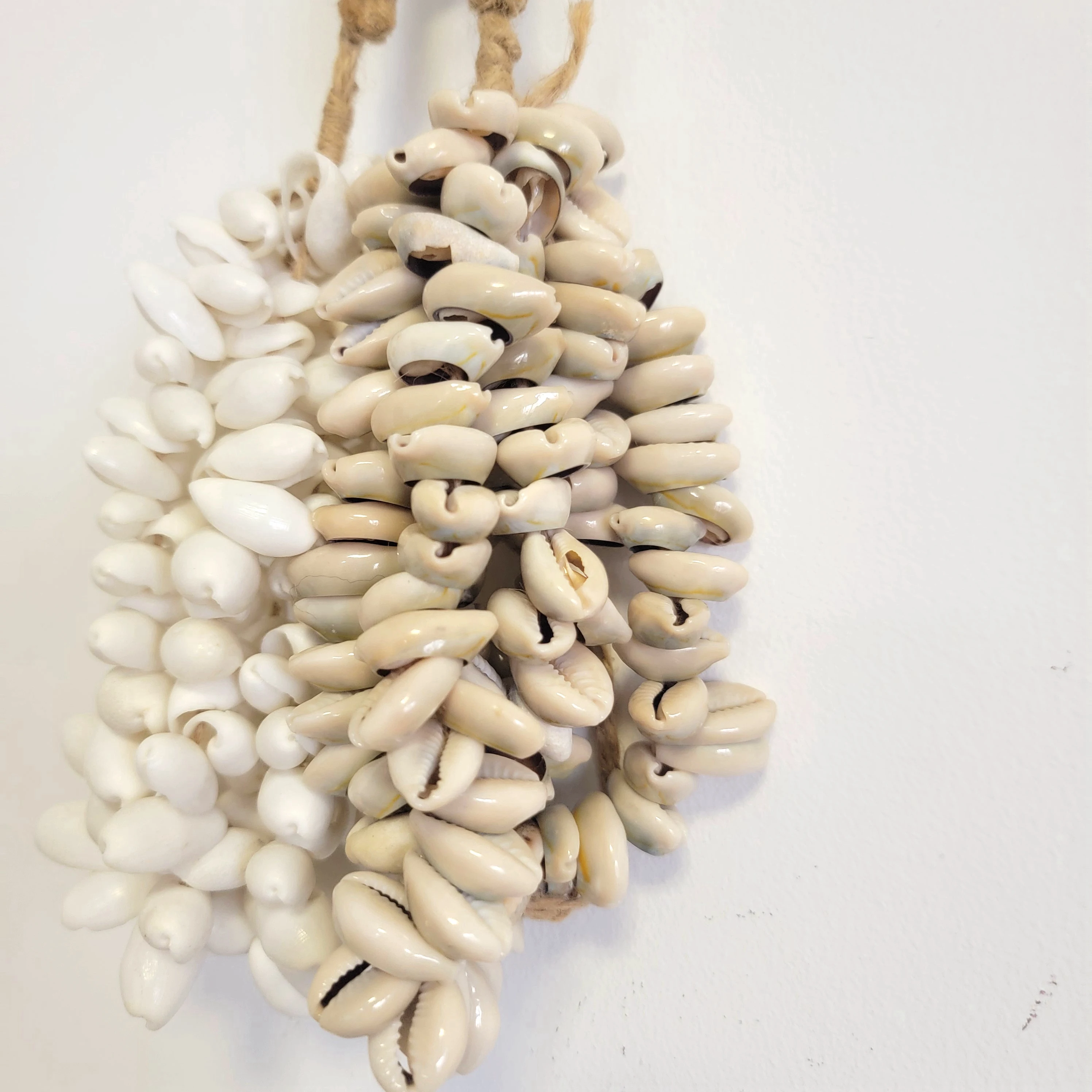 Bohemian Round Sea Shell Dreamcatcher