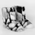 Black-and-white