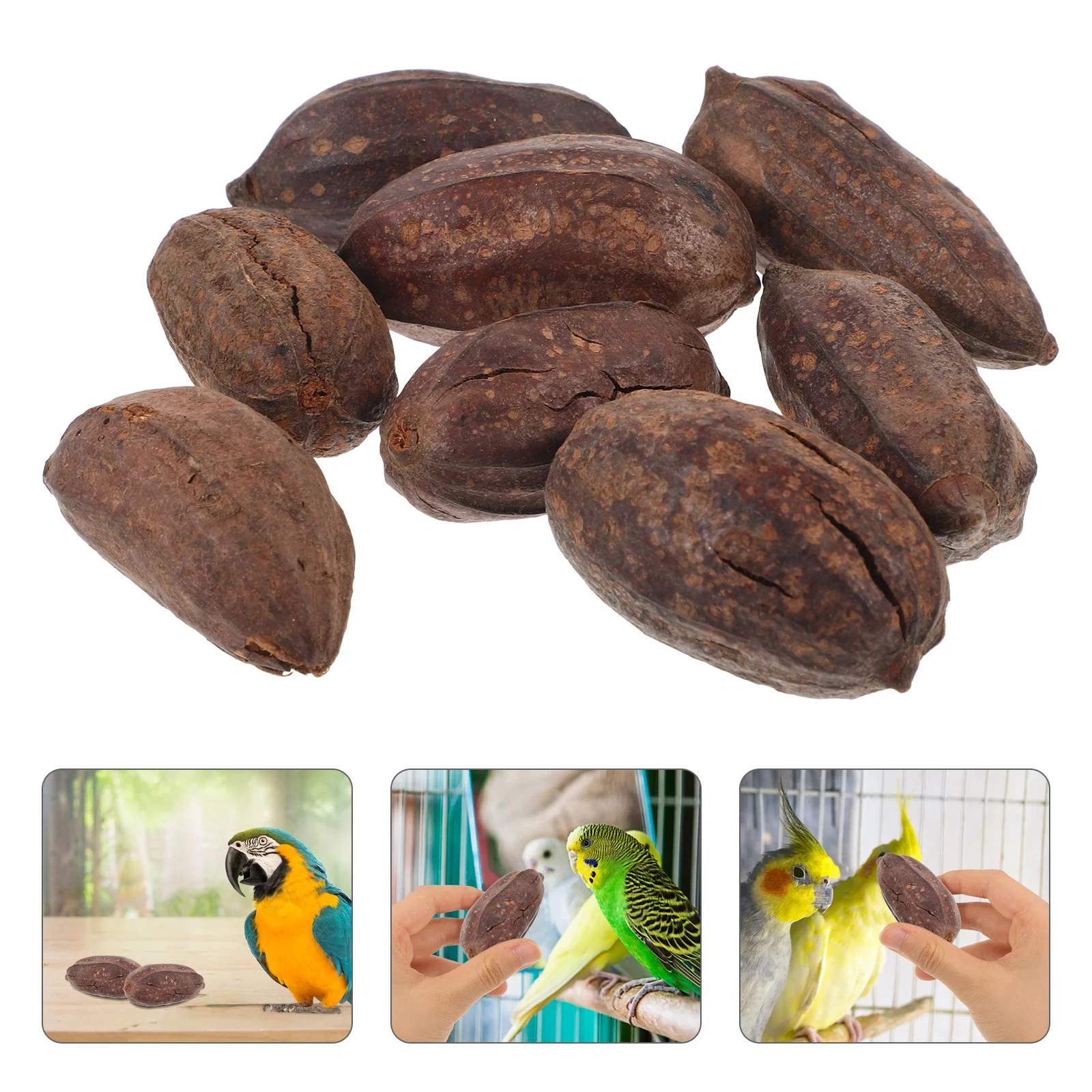 

8 Pcs Parrot Chewing Fruit Toys for Foraging Bird Parrots Cage Accessories and Dried Natural Treats