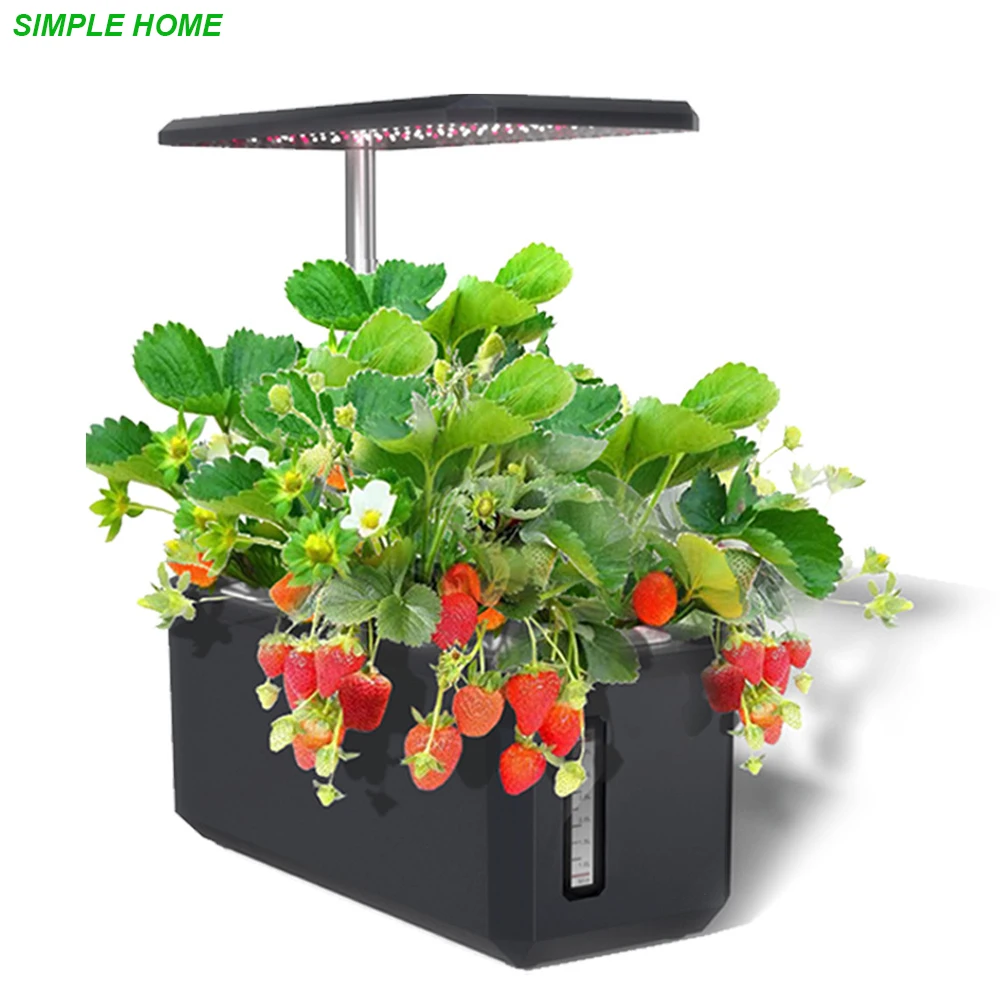 Inbloom Sistema Di Coltivazione Idroponica, 10 Cialde, Giardino Di Erbe Aromatiche Con LED A Spettro Completo, Allarme Carenza D'acqua, Timer Automatico, Altezza Regolabile, Regalo Ideale Per Il
