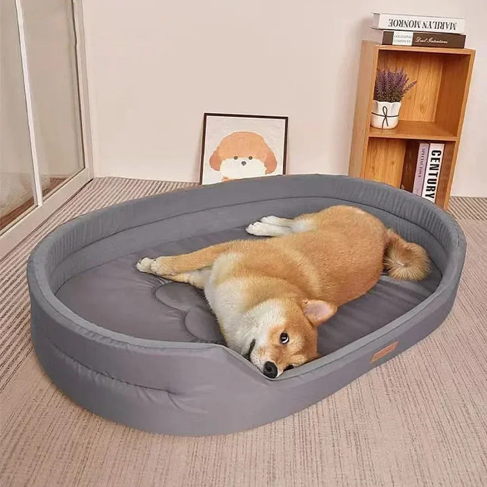 Medium-sized dog to chew Stand up